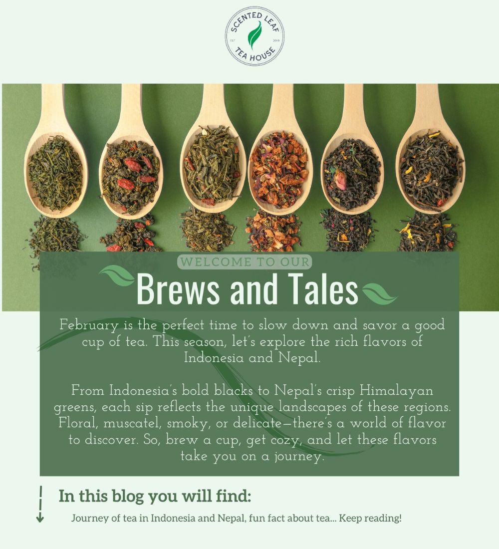 Savoring the World: A Taste of Indonesia & Nepal in Every Sip