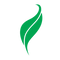 Green leaf