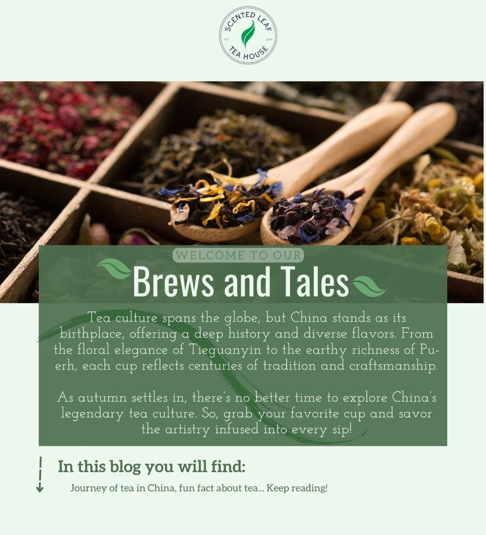 A Sip of History: China’s Tea Legacy in a Nutshell