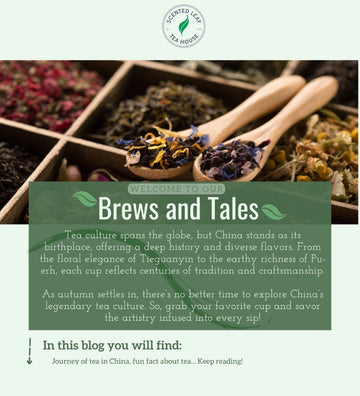A Sip of History: China’s Tea Legacy in a Nutshell