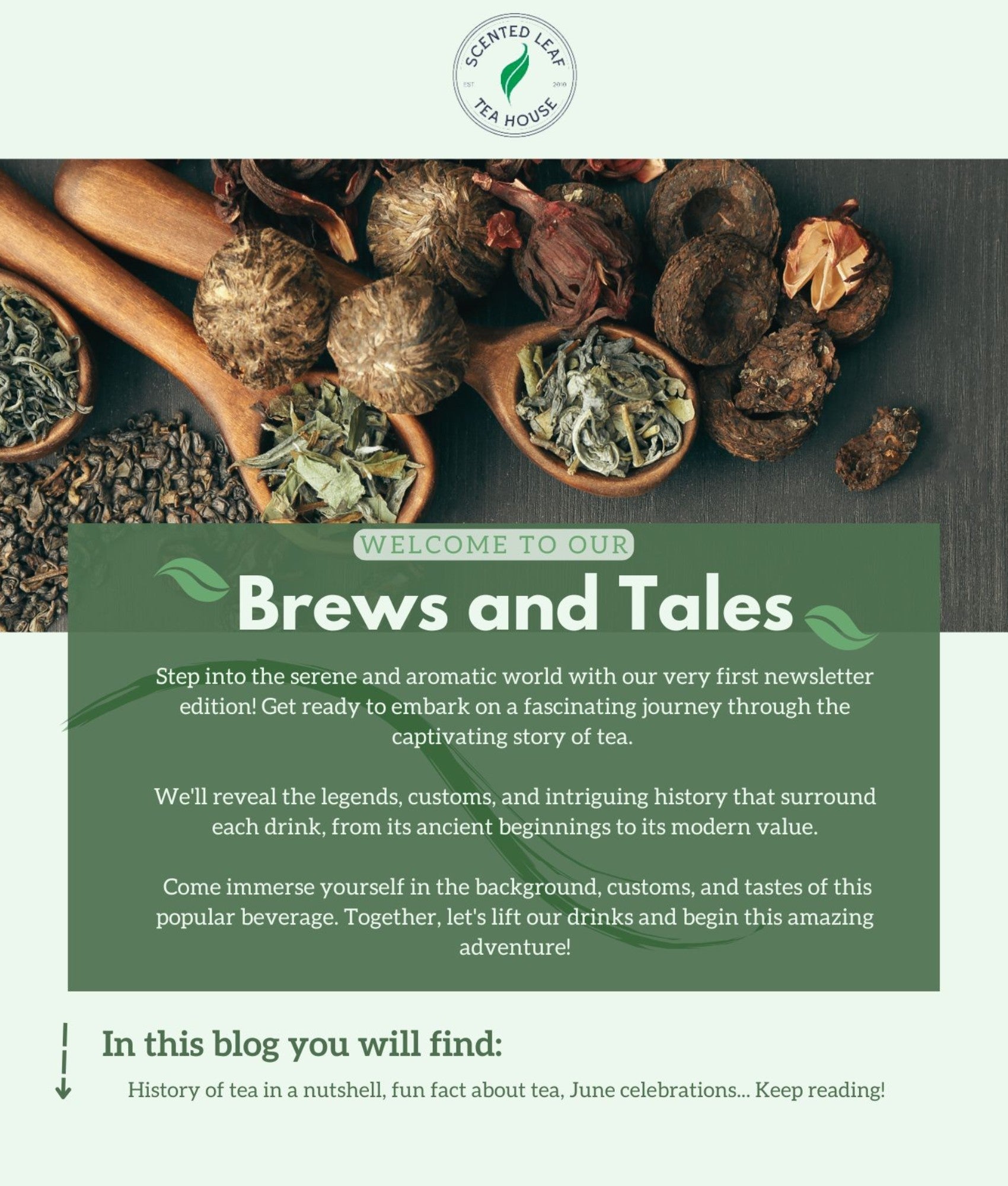 Tea Tales Unveiled — Journey into the Aromatic World of Tea! – Scented ...