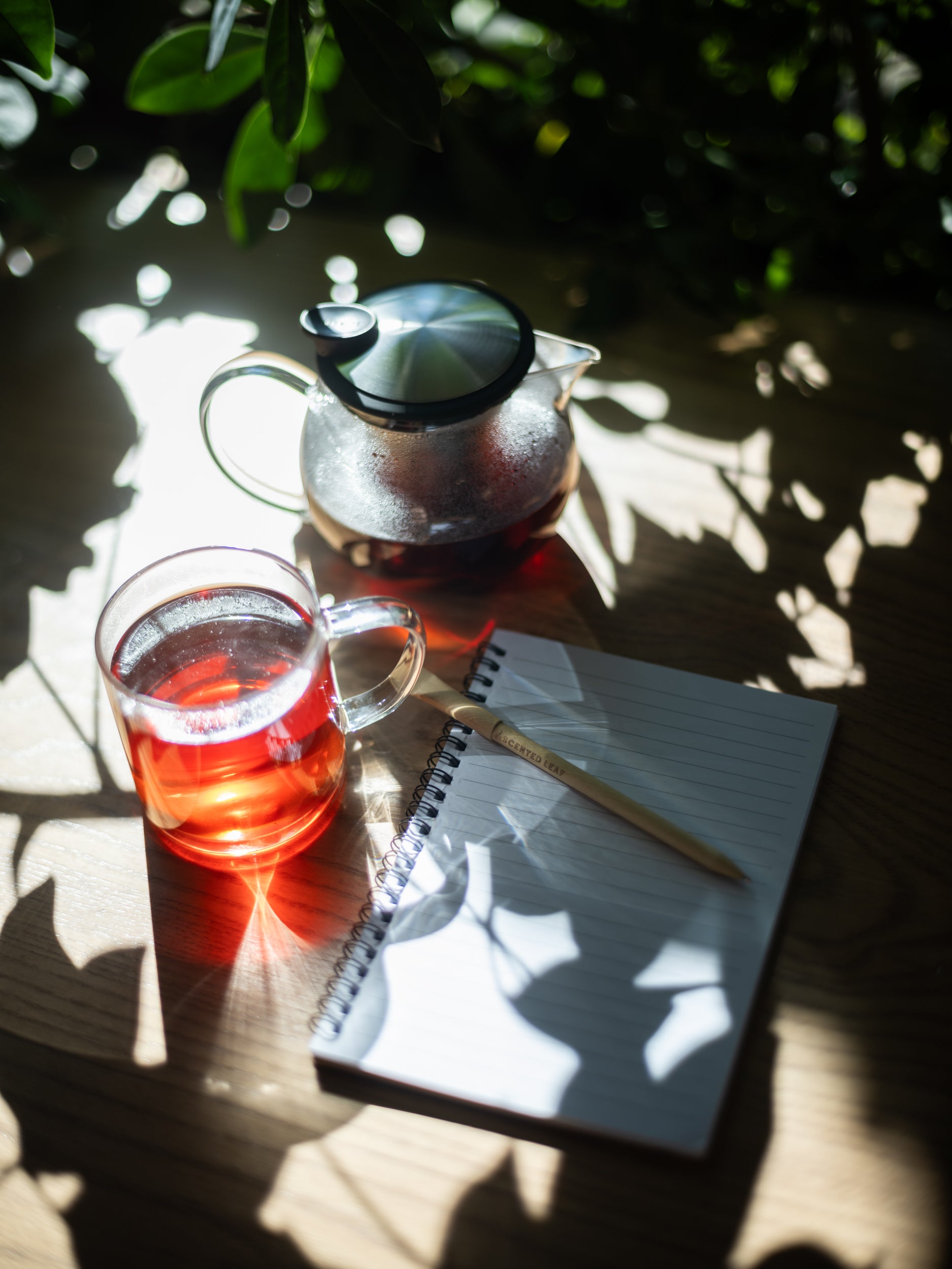 Prickly Pear Tea - Rooibos