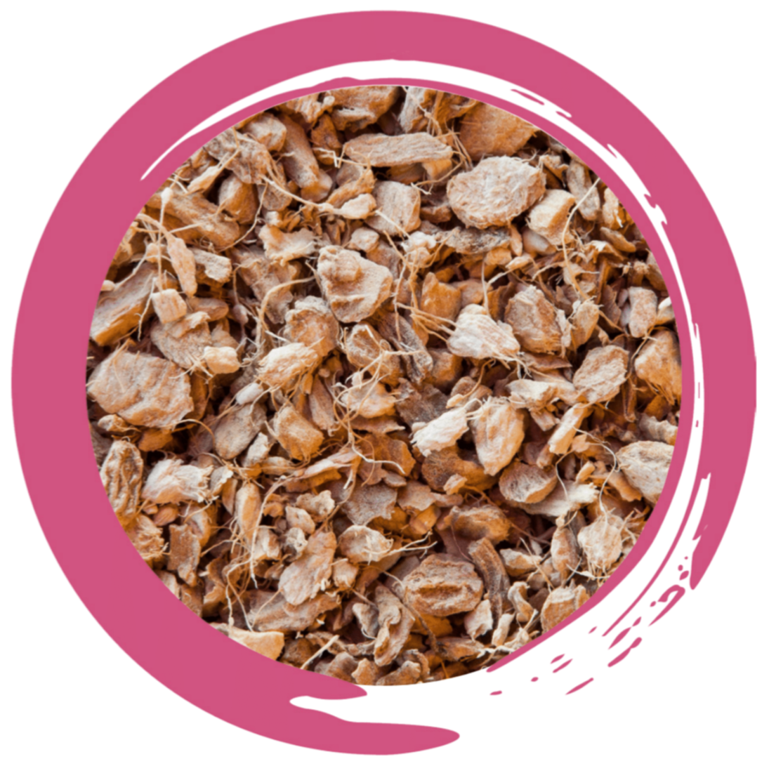 Ginger Root - Herbal Tea
