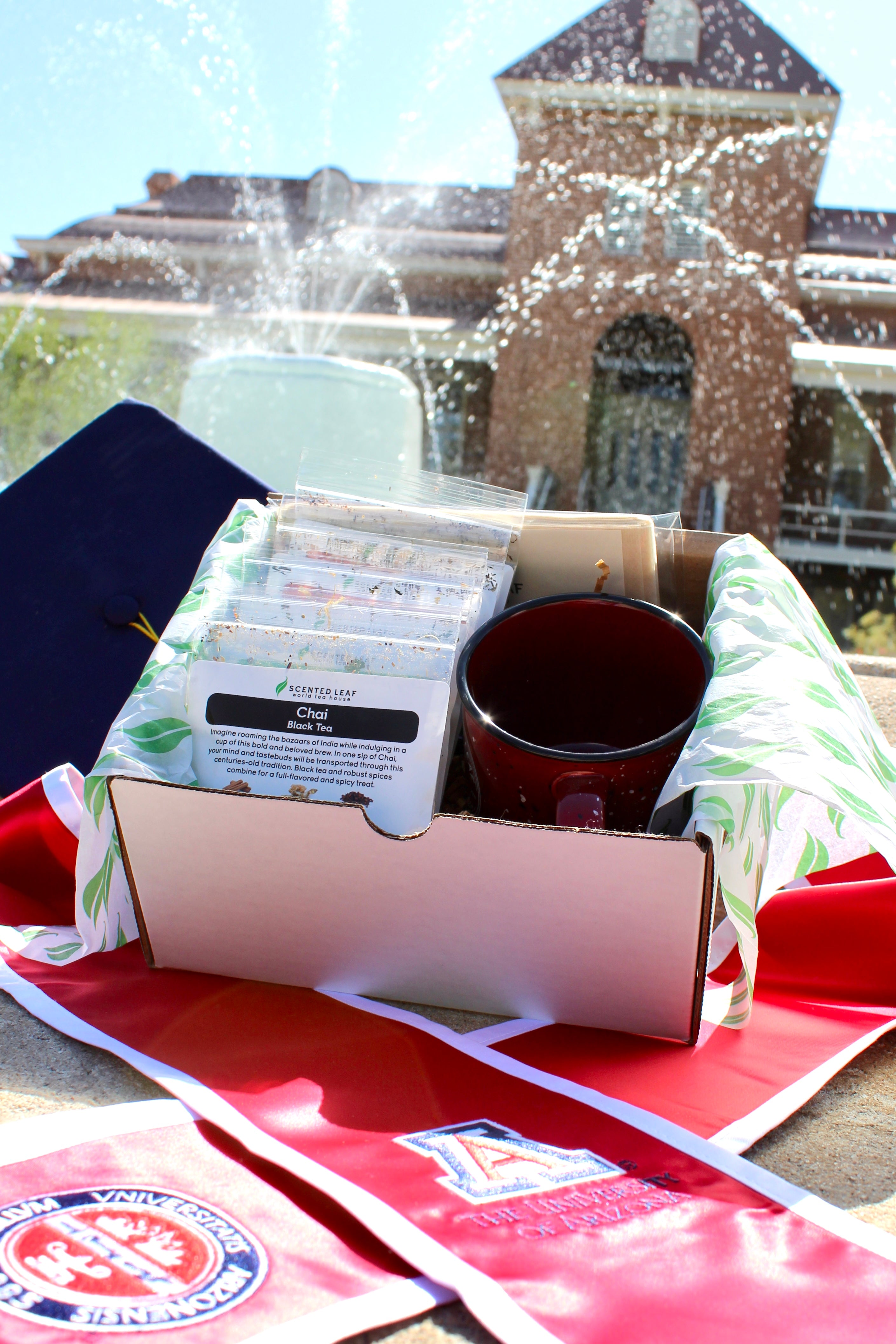 Graduation Gift Set - Mix of Caffeine and Caffeine Free Teas