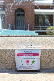 Graduation Gift Set - Mix of Caffeine and Caffeine Free Teas