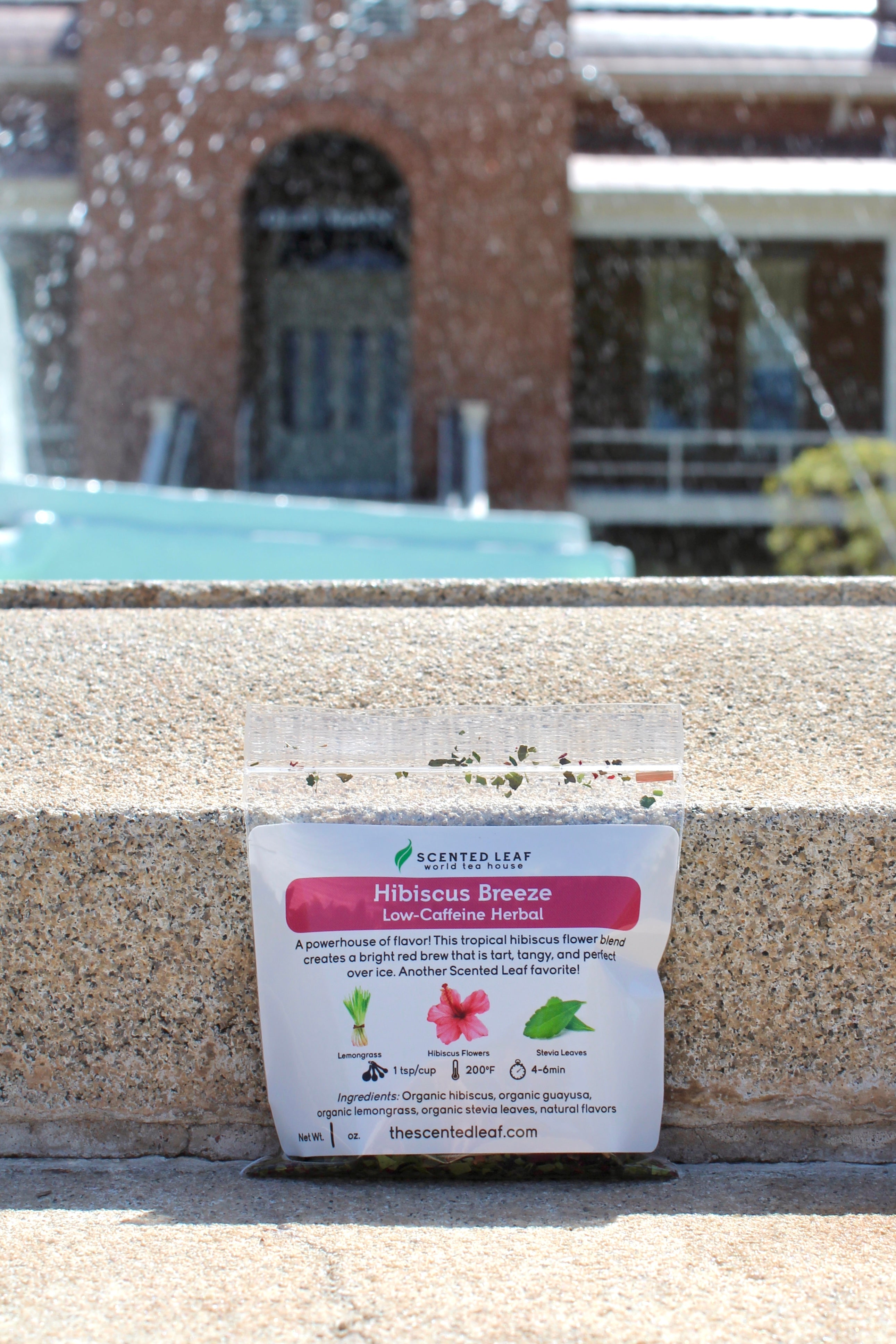 Graduation Gift Set - Mix of Caffeine and Caffeine Free Teas