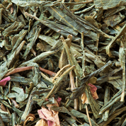 Green Tea Pomegranate - Green