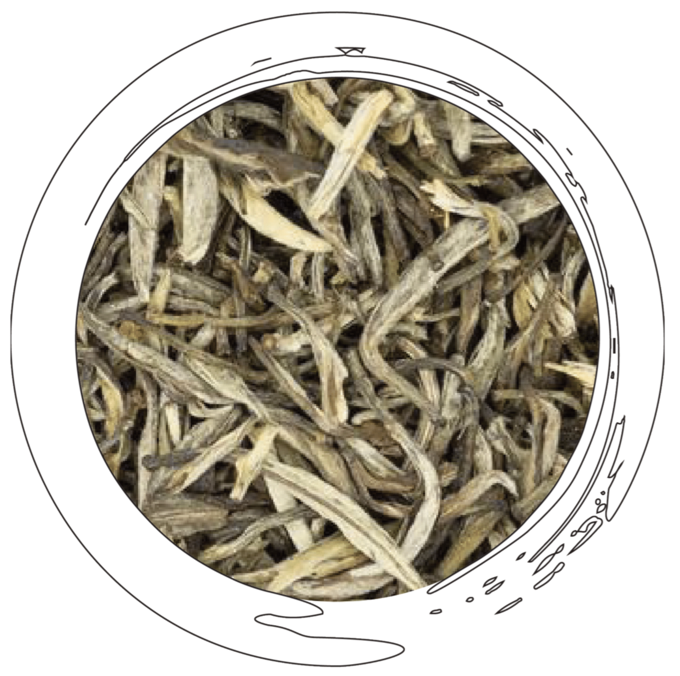 teaboards_10x12_white_FINAL-1.png